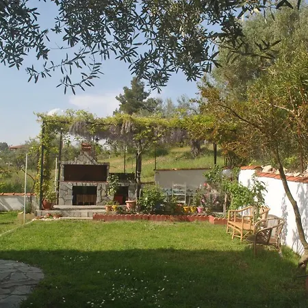 Studio Metamorfosi *