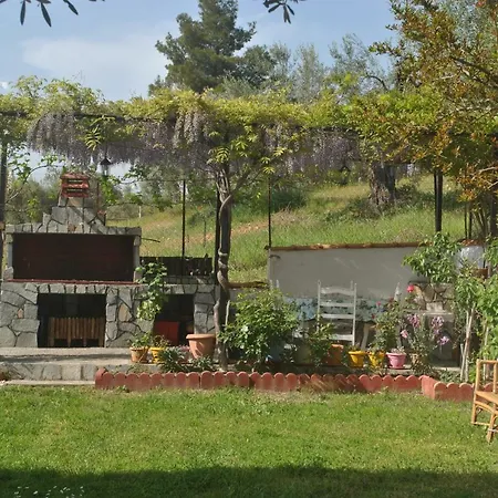 Studio Metamorfosi *