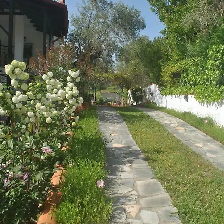 Studio * Metamorfosi (Sithonia)